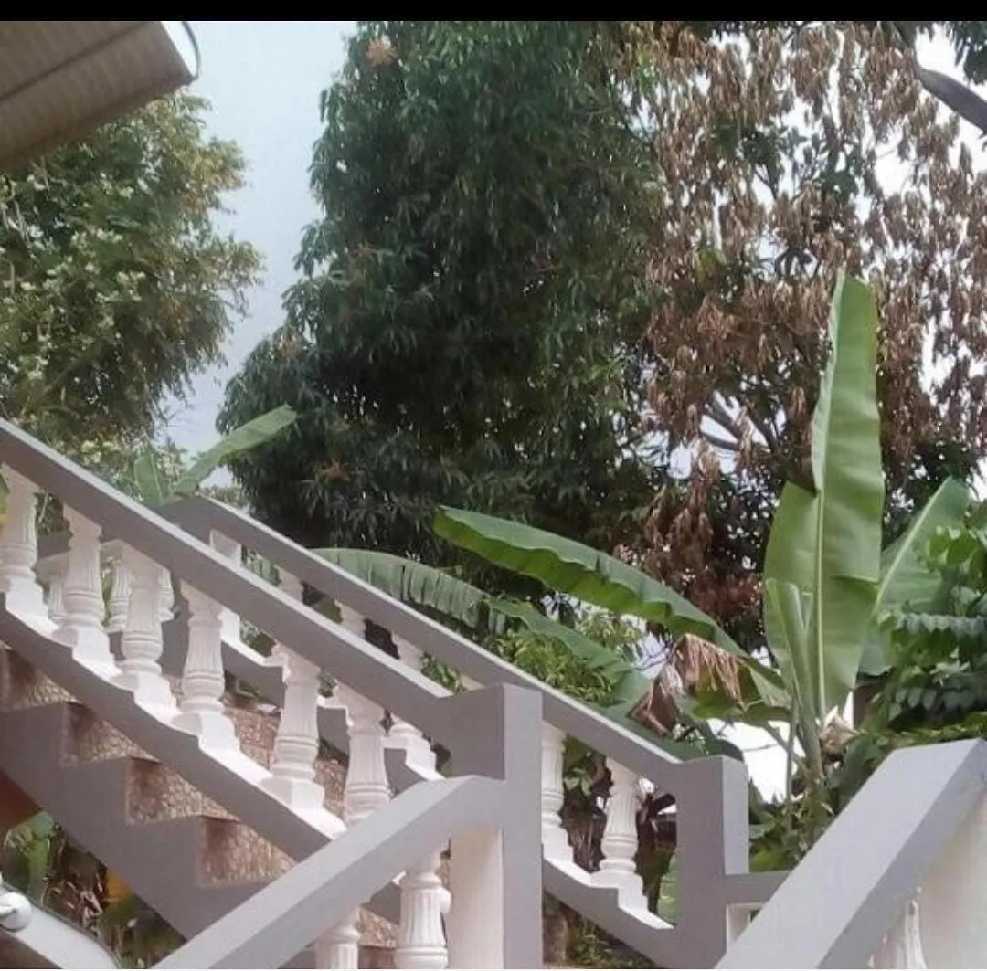 Villa Lola'S On The Beach Whitehouse 0*,  Jamaica